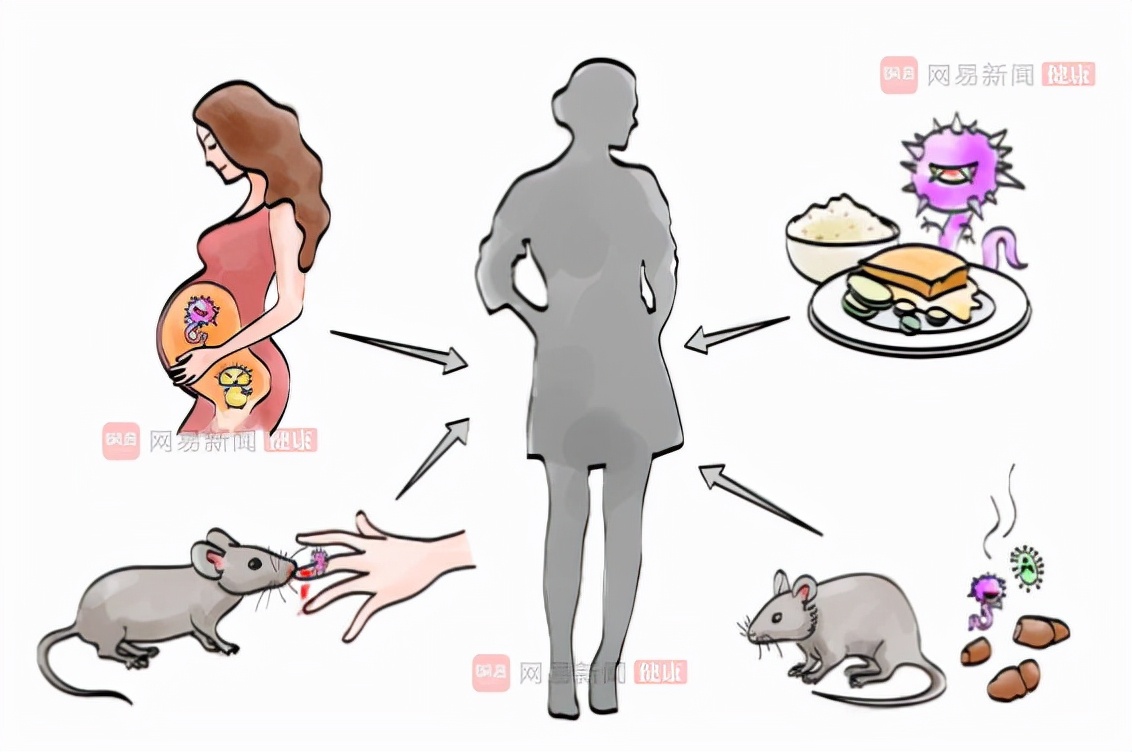 西安出现多例出血热什么药治疗,西安出现多例出血热是什么病毒