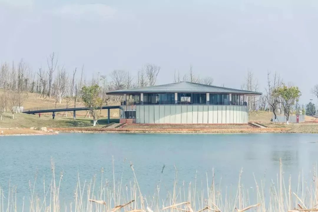 成都这些宝藏公园坐地铁就能耍,成都宝藏地铁旅游攻略