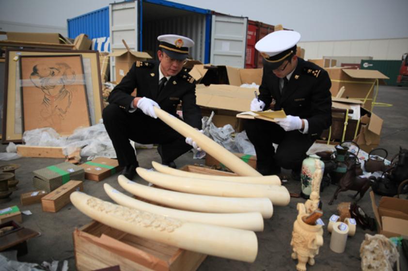 大象与犀牛是不同的物种，非洲公象，为何还要*暴强**犀牛呢？