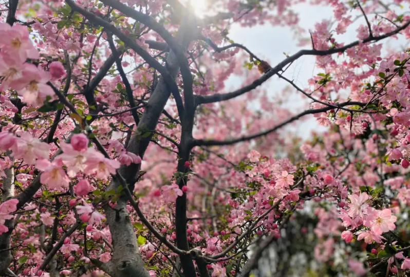 剧本杀未成年,被移除的剧本杀