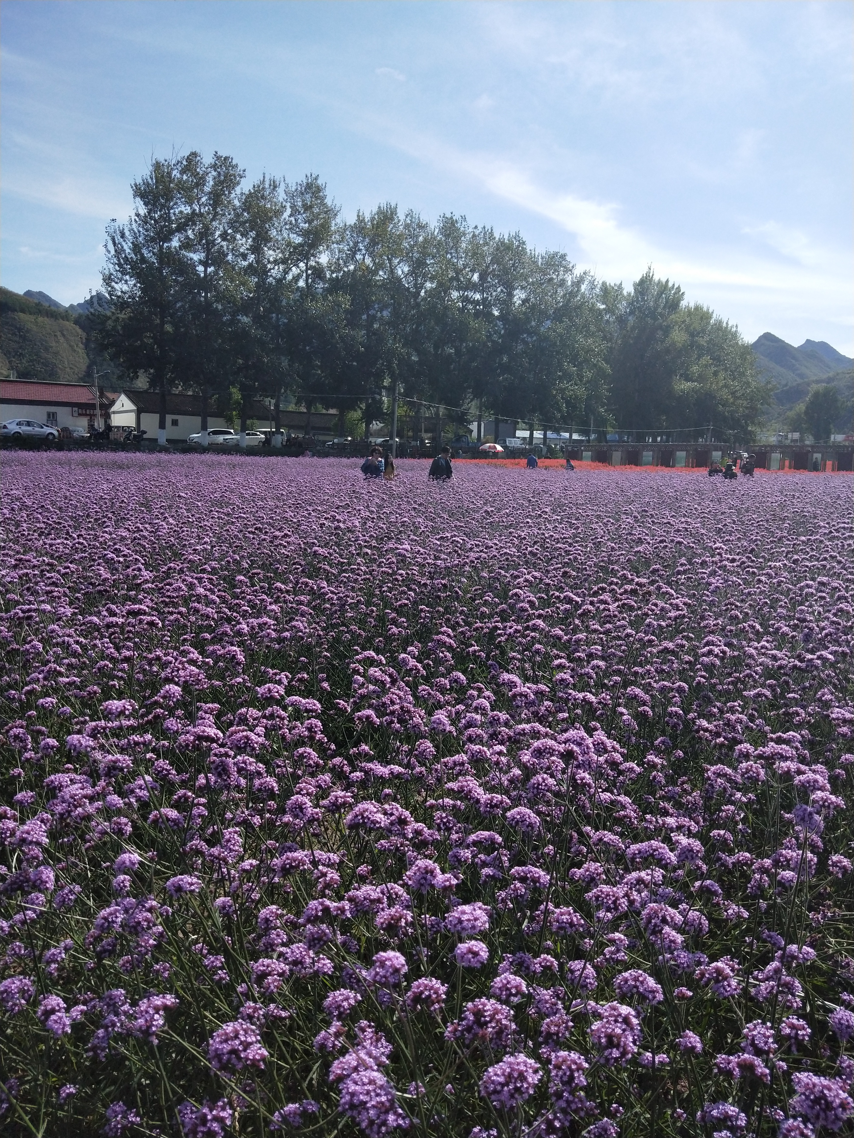 人生地铁(第五章奇遇)