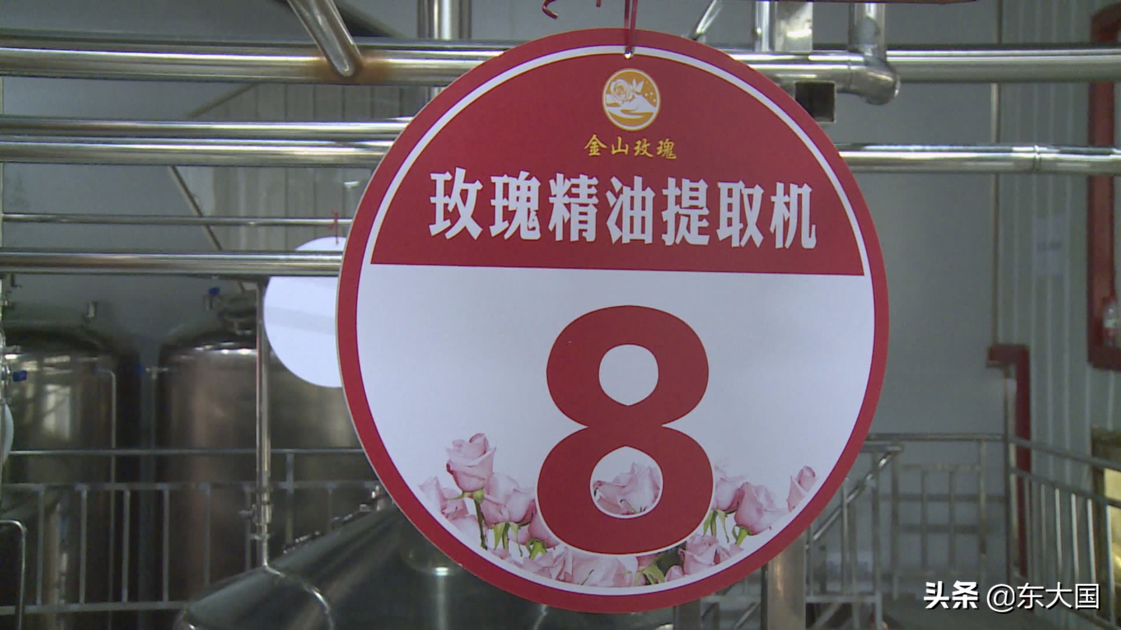 野猪“刺”激来的玫瑰花——玫瑰姐姐和她的美丽经济