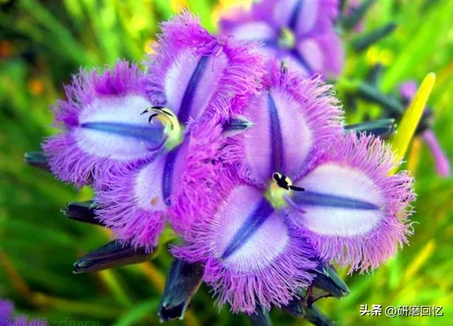 生命只有一次别活得太累,生命只有一次别让自己活得太累了