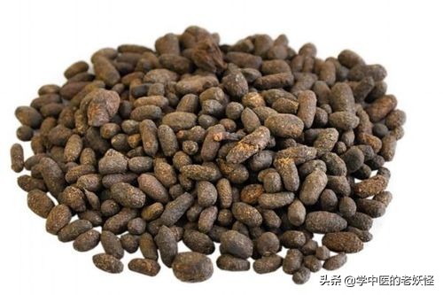 五灵脂可活血通络吗,用于活血止痛五灵脂的最佳配伍