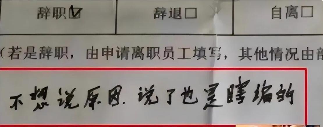 00后辞职信火了告辞,00后傲娇辞职信走红