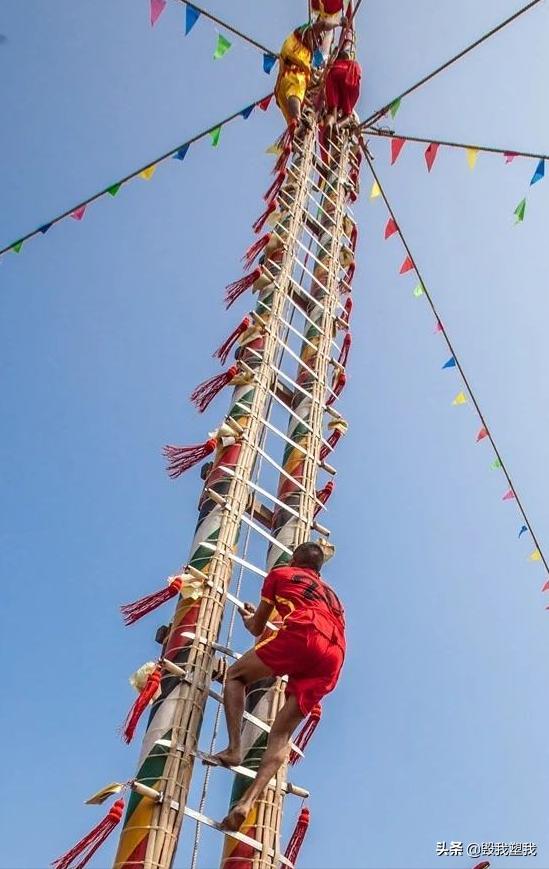 湛江哪里的鱼多,湛江章鱼属什么品种