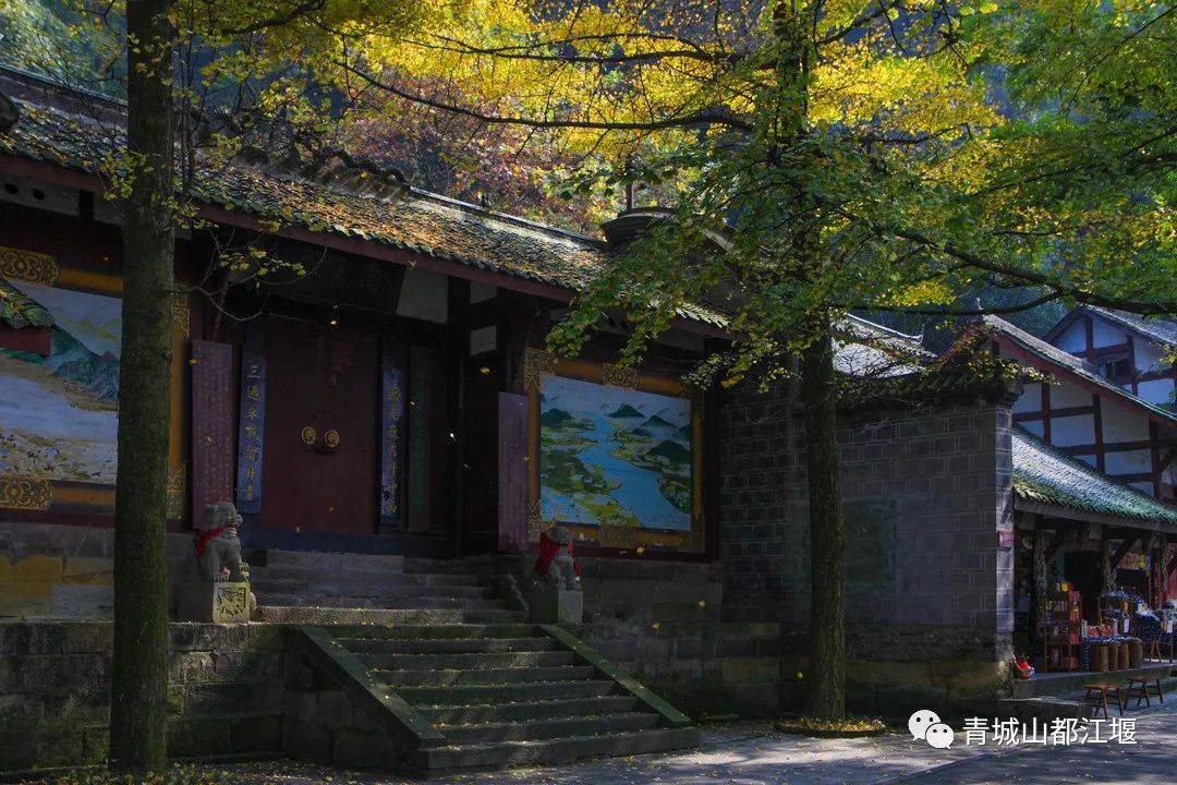 抓住秋天的尾巴！都江堰必打卡的8大晚秋好去处，步青山观烟岚云岫、入古城拾千年烟火，来过都会爱上