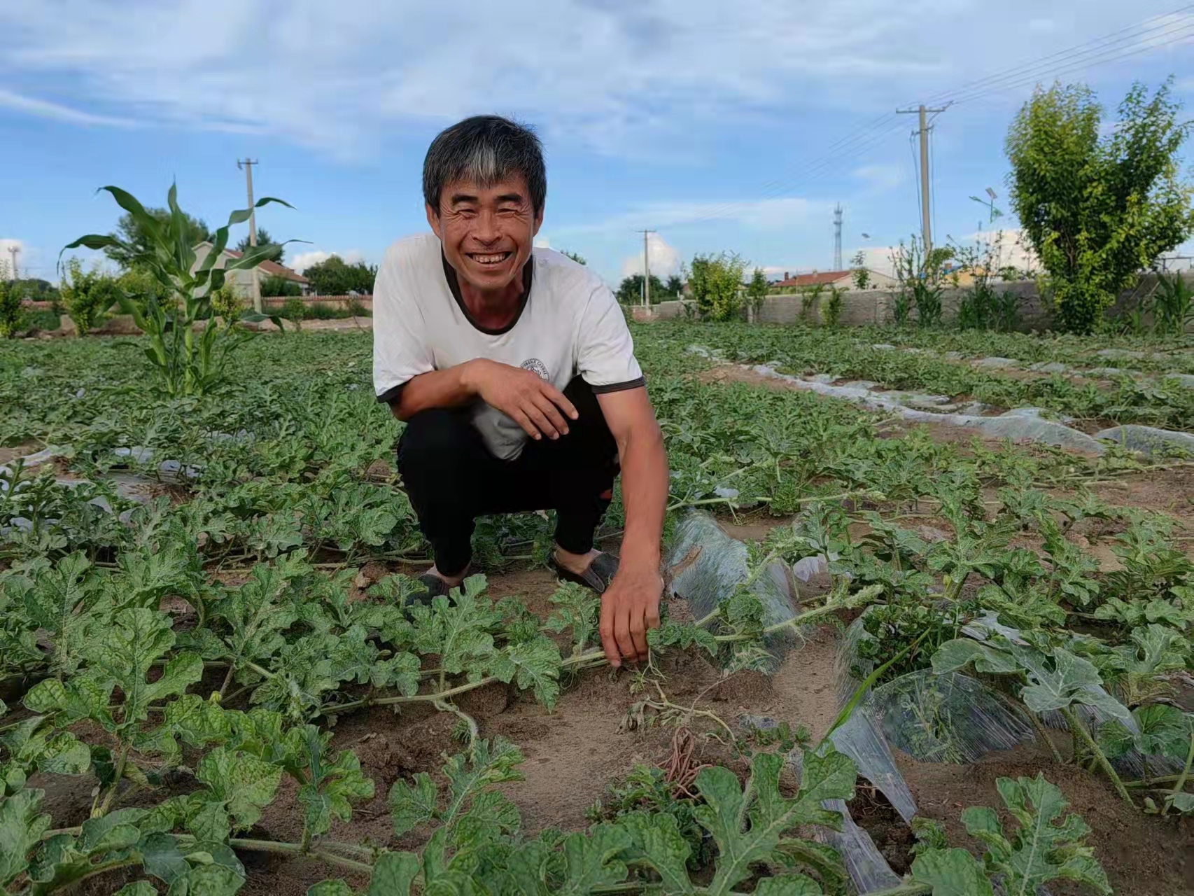 洮北区乡村振兴规划,洮南市创新创业基地项目