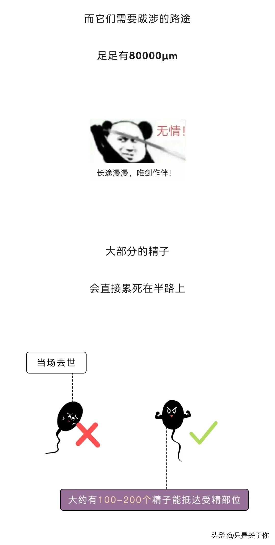 那些男人硬憋回去的“精子”都跑哪去了？这个操作伤身体吗？漫画