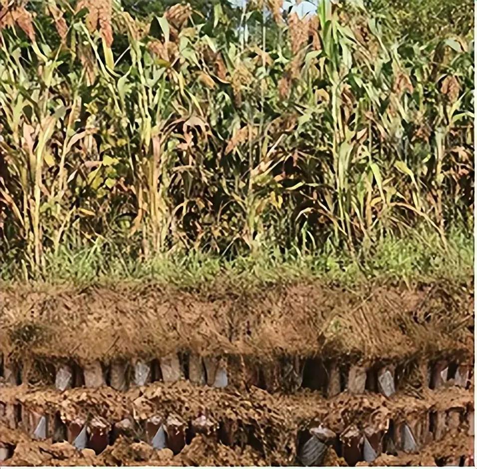 赖茅酒97年香港回归纪念版多少钱,97年赖茅酒庆香港回归特制2斤