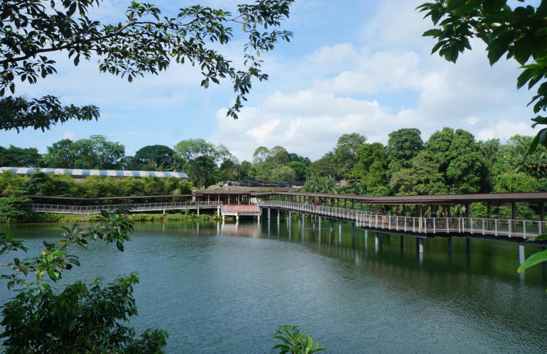 新加坡河川生态园攻略,推荐一个好地方新加坡河川生态园