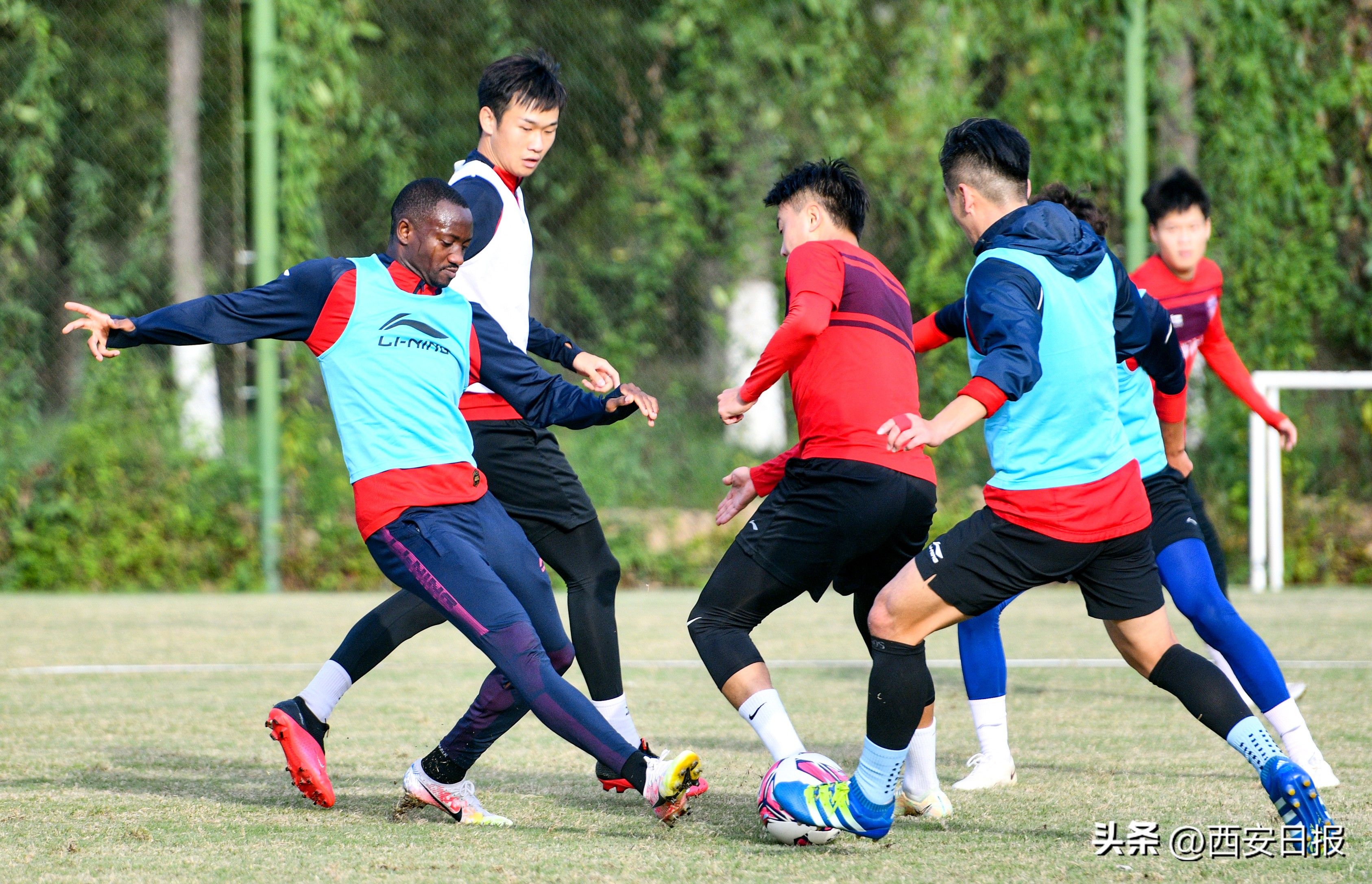 中甲西北狼最新视频,中甲西北狼最新信息