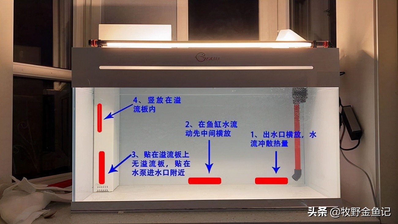 养金鱼冬天需要加热棒吗,家养金鱼冬天需要加热棒吗
