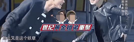 杨紫张一山最好的友情,杨紫张一山的感情好到什么程度