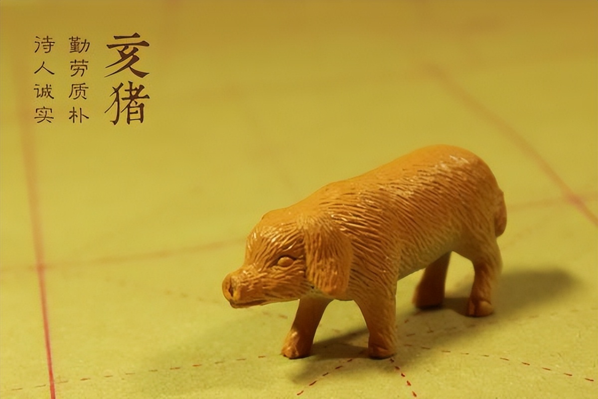 十二生肖是中国造还是舶来品,12生肖由来简短