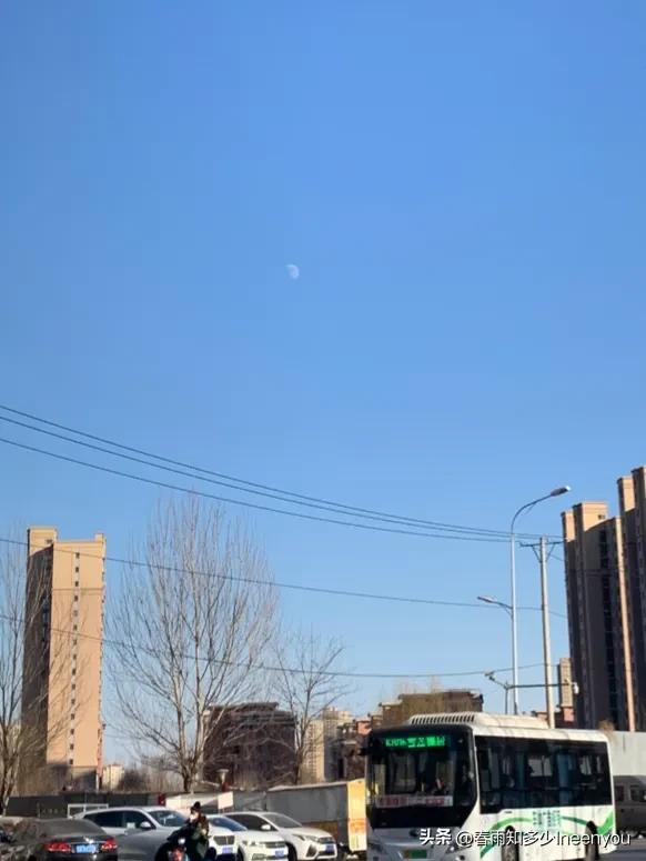 生活本就是不停的奔波,元旦将至忙忙碌碌