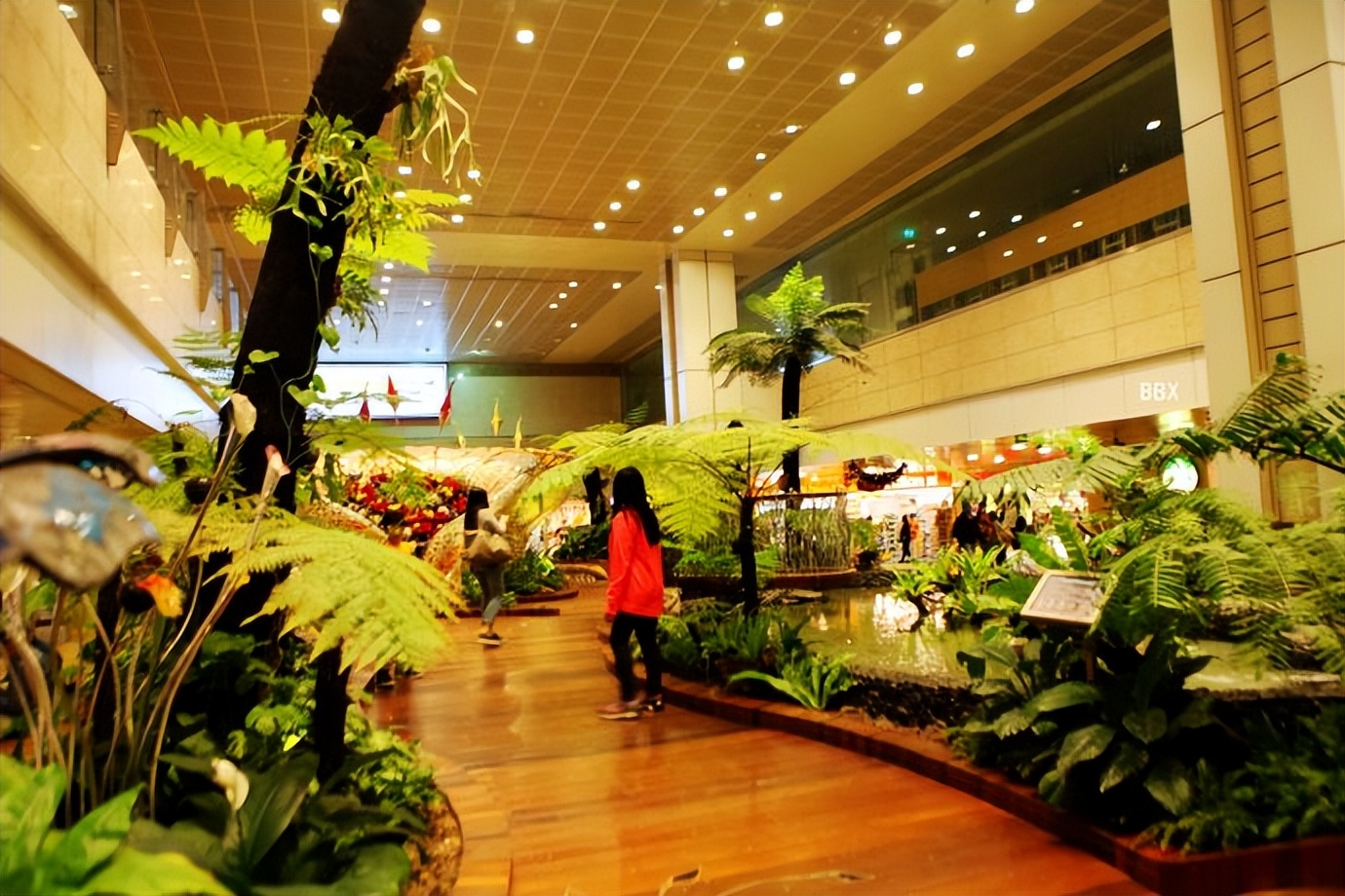 新加坡樟宜机场的仙人掌花园,新加坡最美机场在哪个航站楼