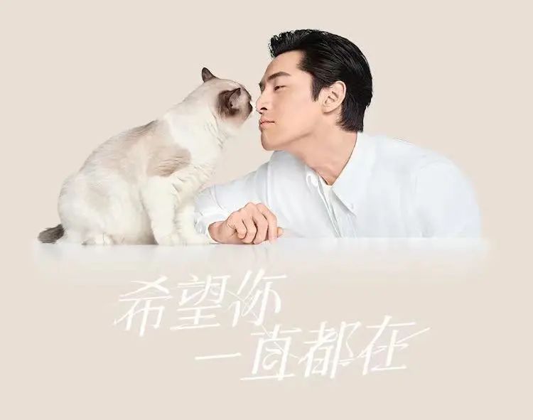 卫仕宠物健康食品品牌,卫仕宠物粮营业额