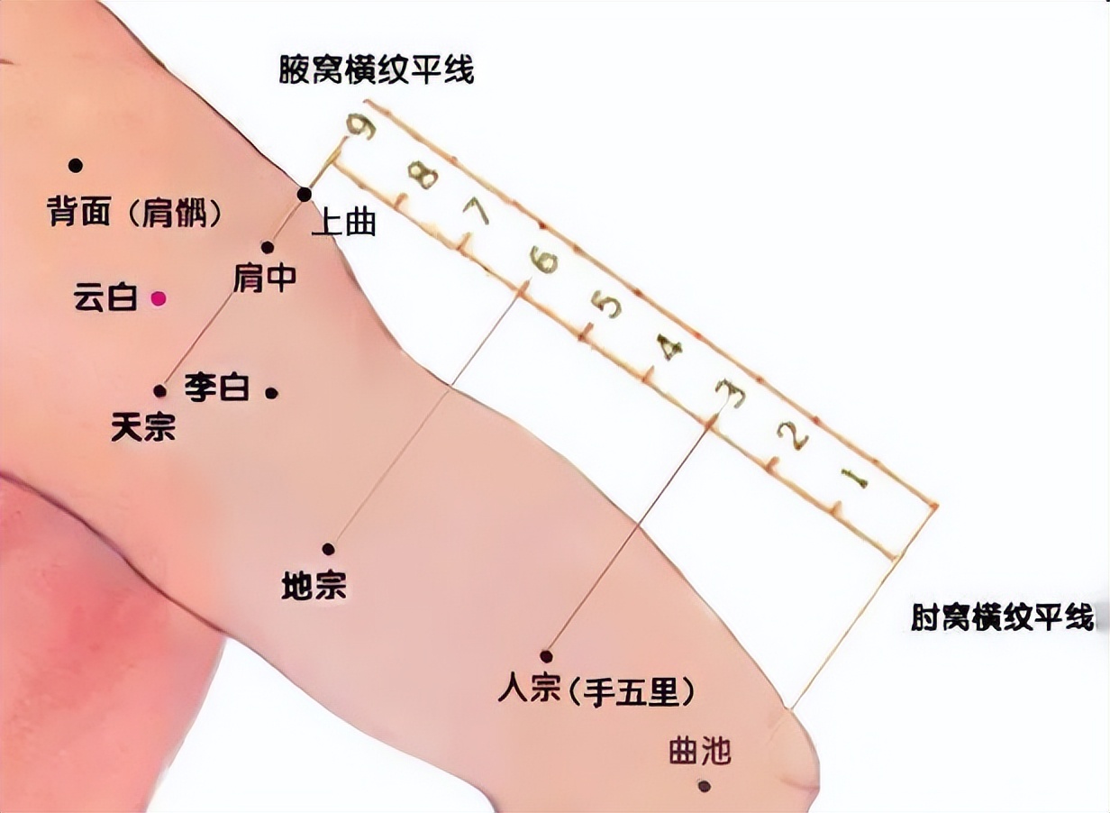 中医治小儿厌食针灸穴位,董氏针灸治疗帕金森处方