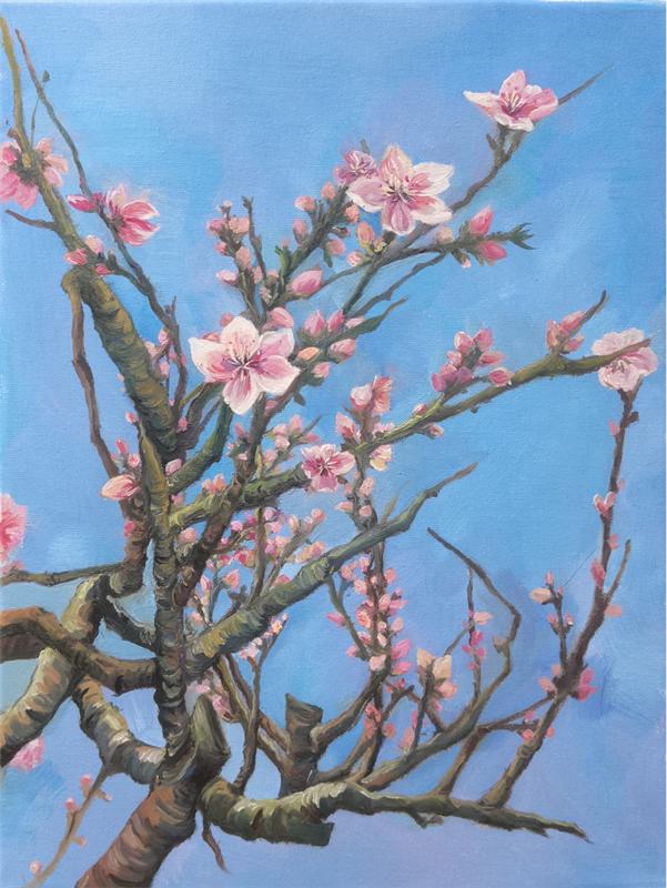 桃花源第三届桃花艺术节,桃花源艺术展