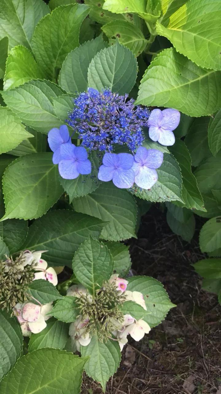 岁月斑驳留下来的都是静好时光,岁月斑驳愿时光静好