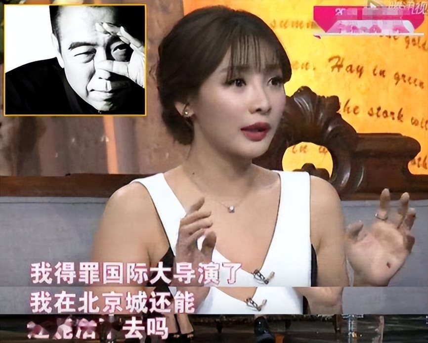 陈凯歌为何弃倪萍选陈红,陈红回应插足陈凯歌与倪萍事件