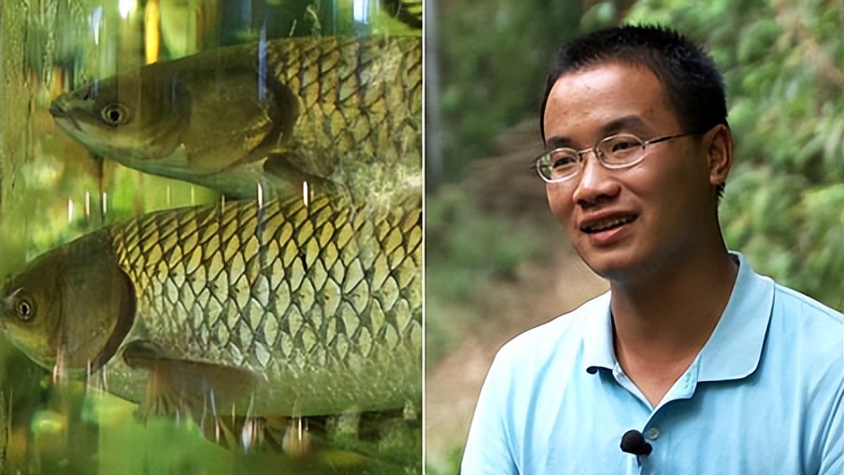 广西小伙养鱼败光家里500万,广西小伙养草鱼败光百万家产