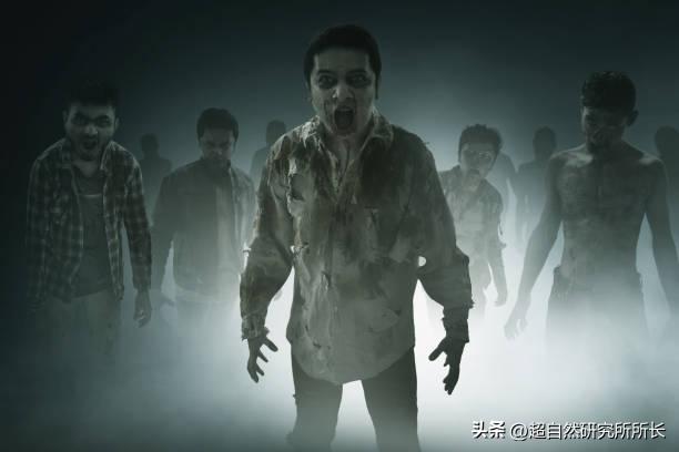 被狗咬了太可怕,被狗咬了才知道疼