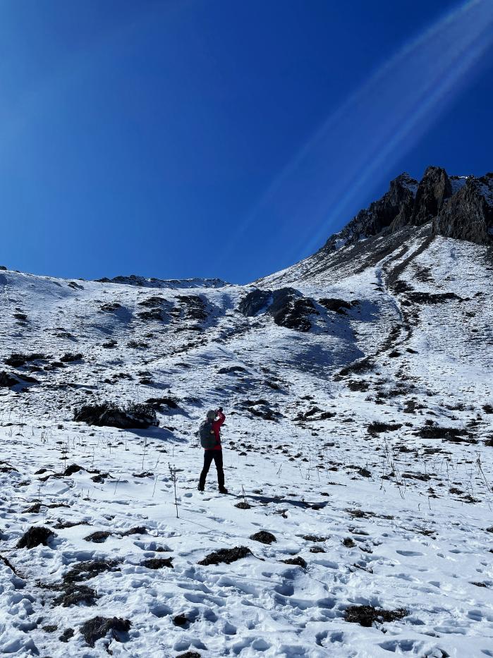 不到3000玩7天！“全网呼声最高”的冬日游天花板，非它莫属！