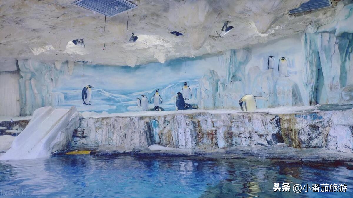 青岛旅游景点推荐和美食攻略,青岛中山路美食排行榜前十名