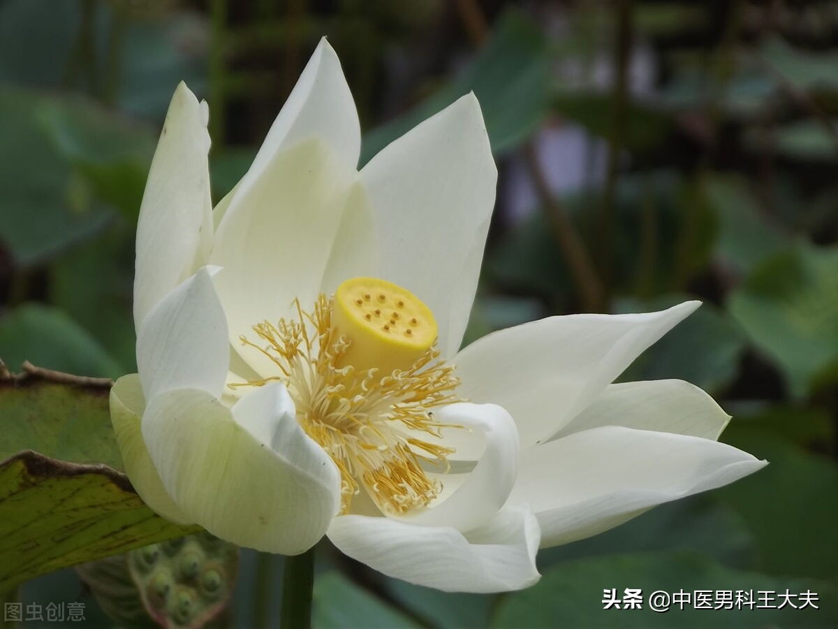 男人战斗力下降是什么原因,男人能力下降的表现