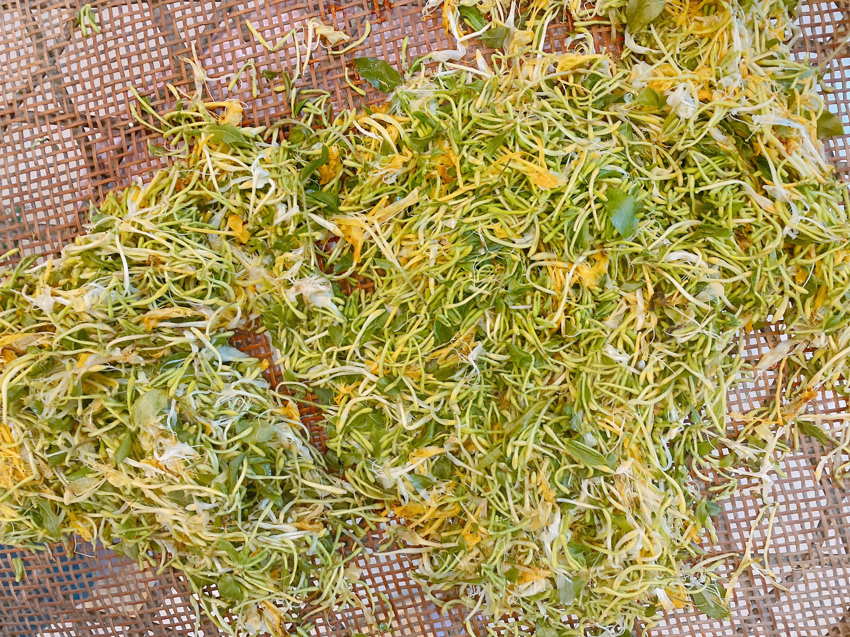 如何自制金银花茶,家庭制作金银花茶的方法