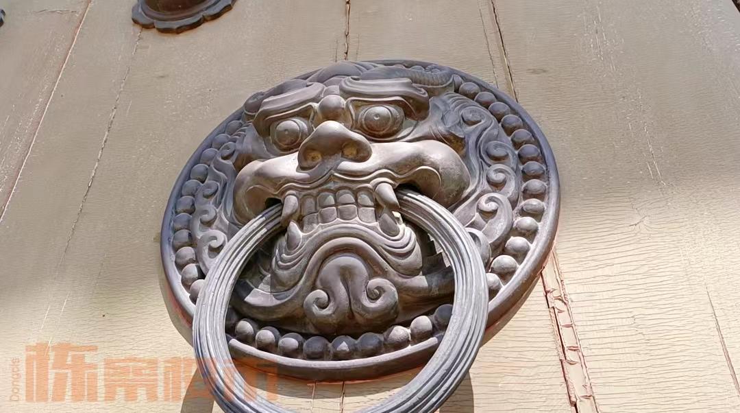 沈阳赏花公园推荐,沈阳附近杏花风景