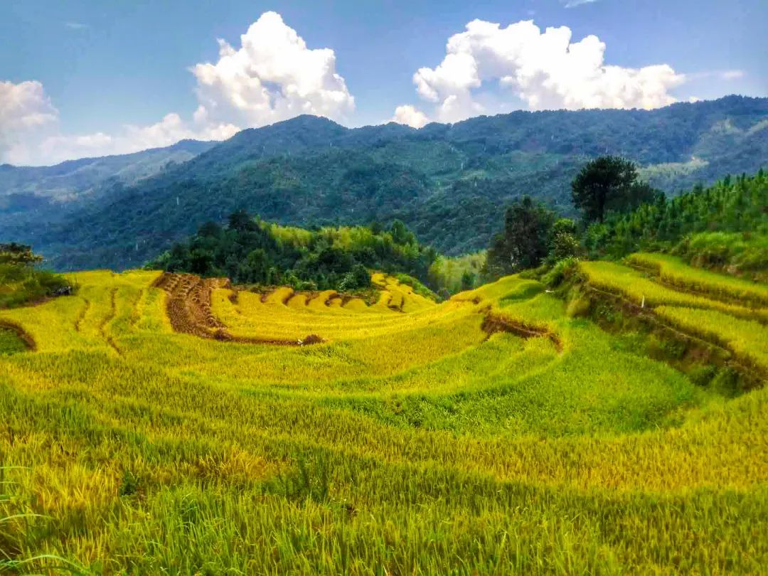 韶关秋天哪里有美景,韶关秋天美景