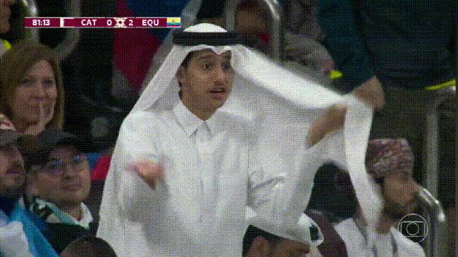 金晨模仿卡塔尔小王子自拍,金晨模仿卡塔尔王子自拍引热议