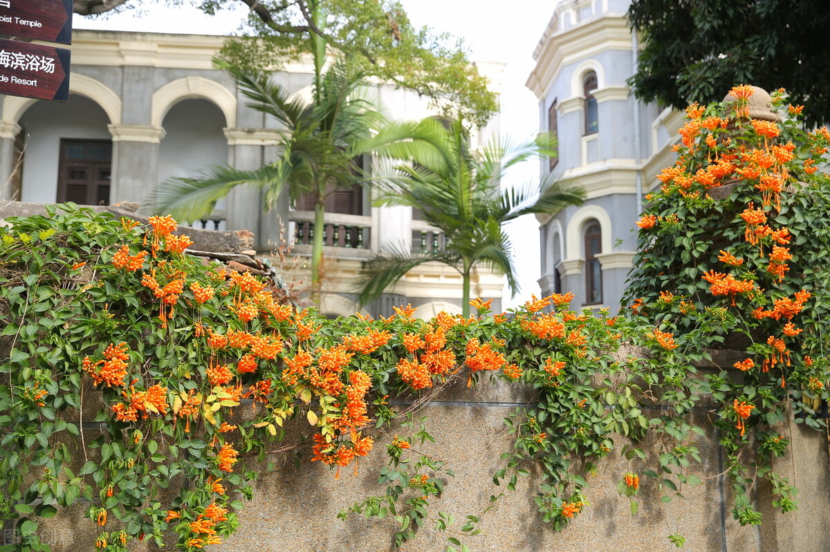 厦门老院子网红打卡地景点,厦门旅游必去景点排名自由行攻略