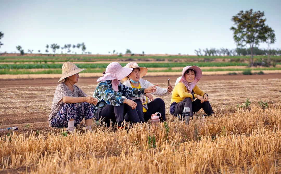 迎接党的20大美术作品,喜迎二十大乡村摄影展