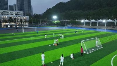 亚洲足球小姐视频,足球亚洲小姐