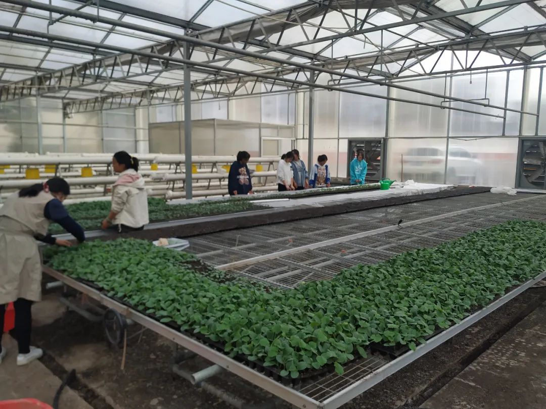 甘肃林业职业技术学院招生处电话,甘肃林业职业技术学院招生办