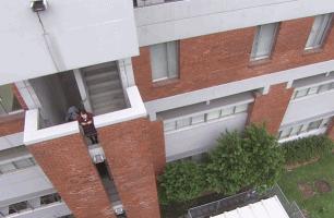 流星花园对大s的评价,大s再婚的梗