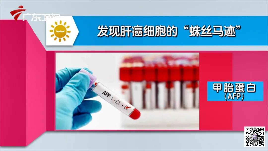 适合寒虚女人喝的养肝护肝茶,中医养生护肝茶