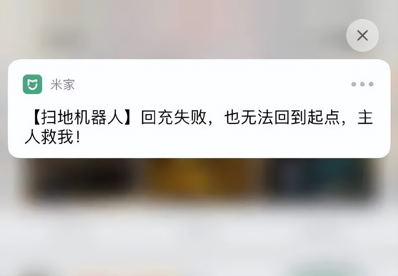 西瓜奇葩搞笑图片,超级搞笑吃西瓜笑的肚子都疼了