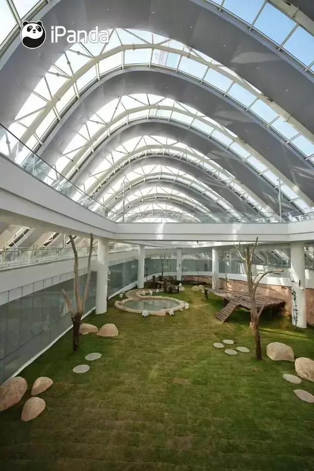 中国制造胜利,卡塔尔世界杯有什么中国制造