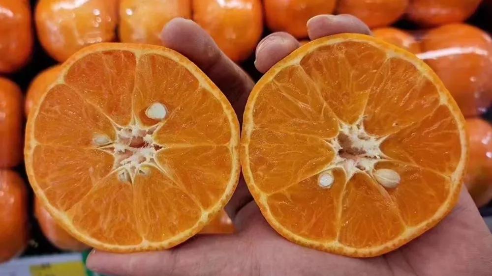 水果店的经营模式和利润有多少,水果店每天盈利四五千利润是多少