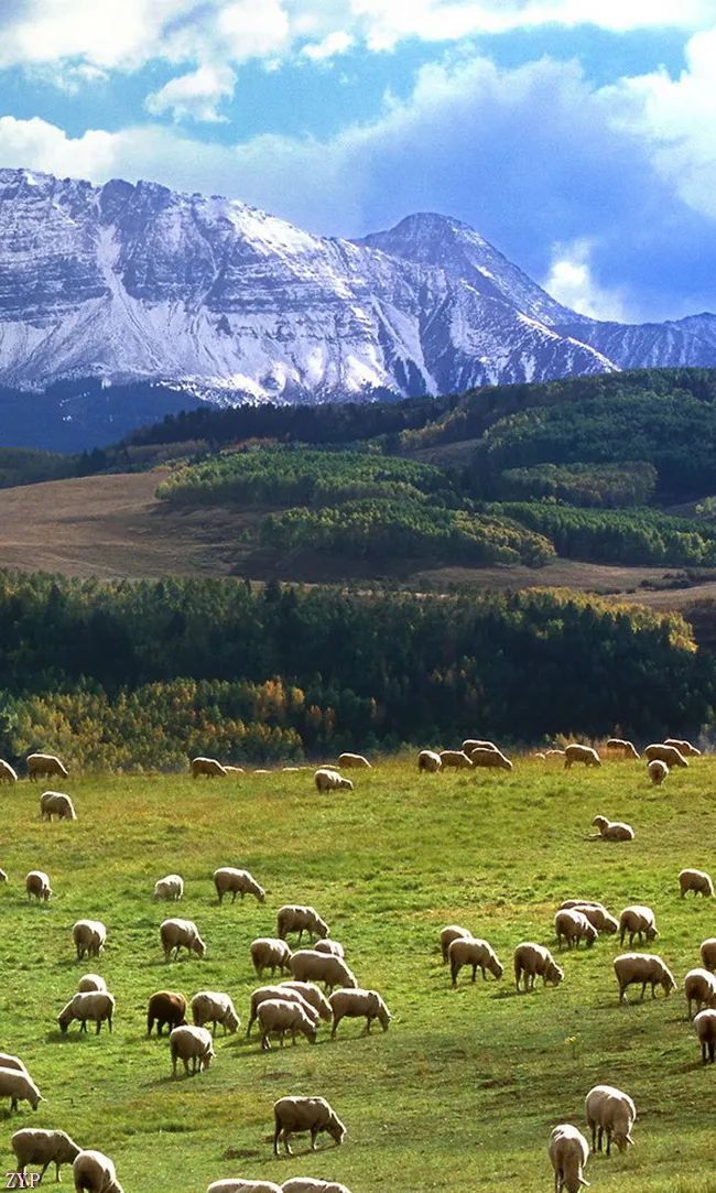 太美了100张人间美照,太美了最美中国红
