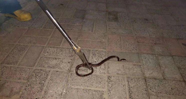 蛊到底是什么东西为什么到处害人,蛊的说法真的吗