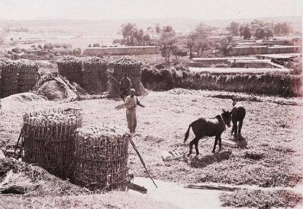 史前十大奇闻怪事,中国古代文物震惊