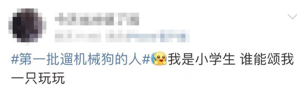 遛机械狗兼职,遛机械狗