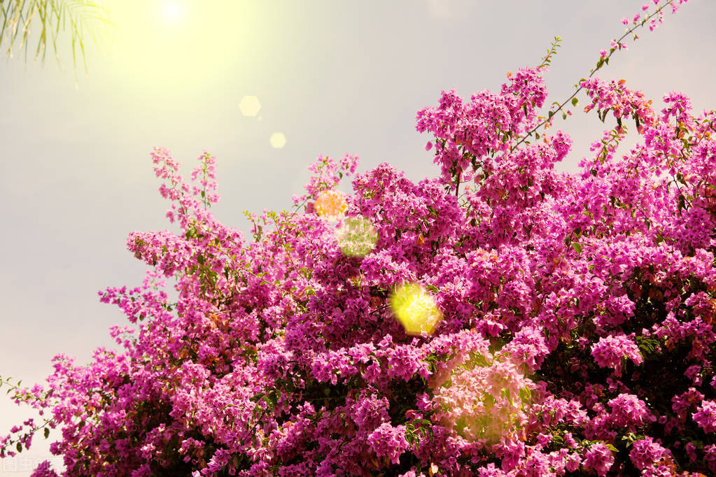 23个护肤小窍门语音讲解,23个护肤小窍门