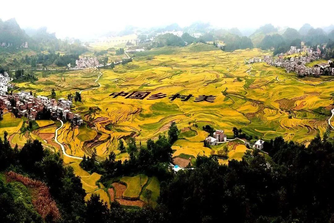 悬念揭晓在即,悬念揭晓视频